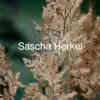 Sascha Herkel - Immer mit dem Kopf durch die Wand